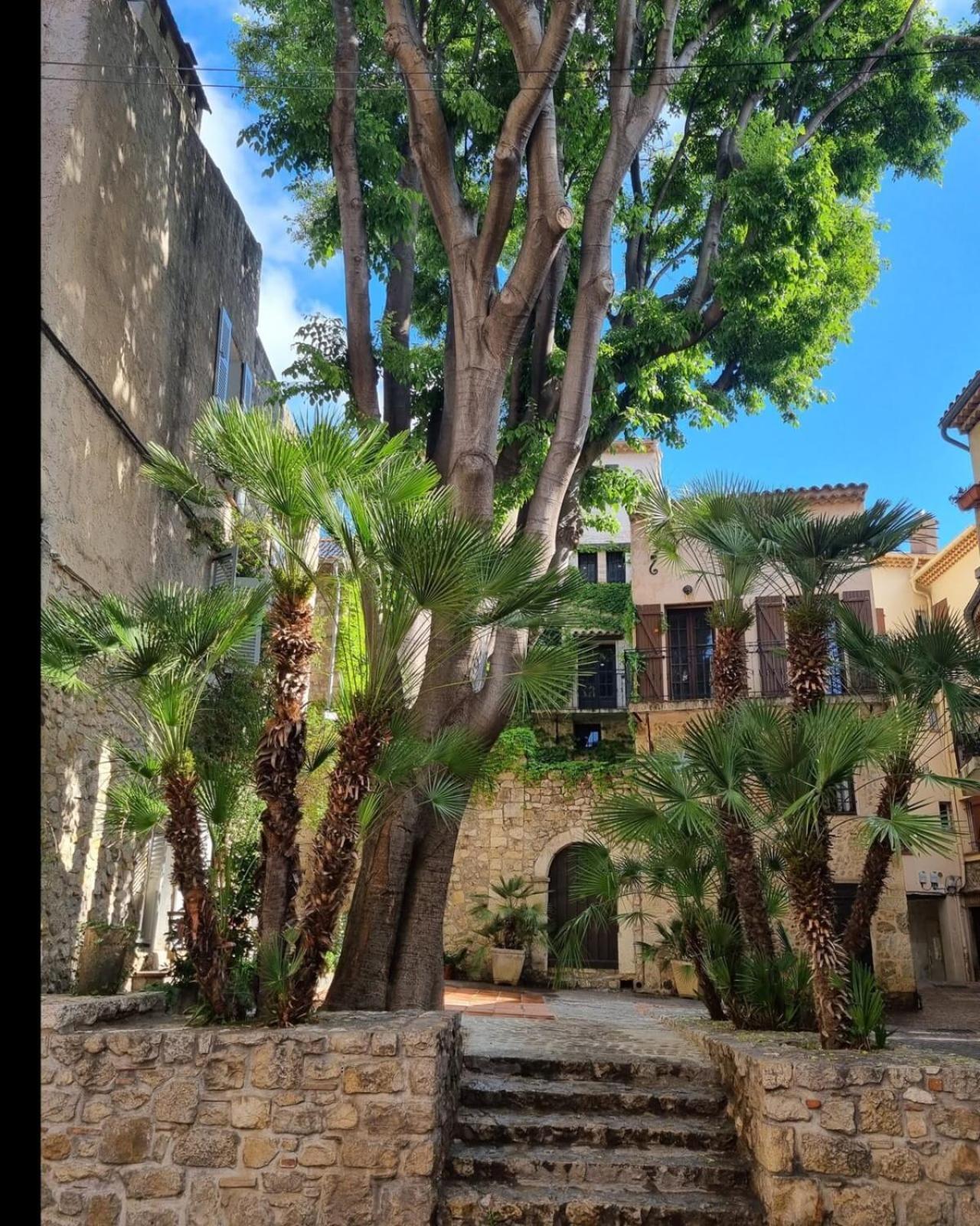 06An - Beautiful Apartment In The Heart Of Old Antibes Ngoại thất bức ảnh