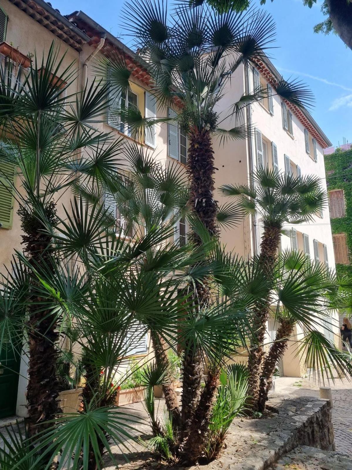 06An - Beautiful Apartment In The Heart Of Old Antibes Ngoại thất bức ảnh
